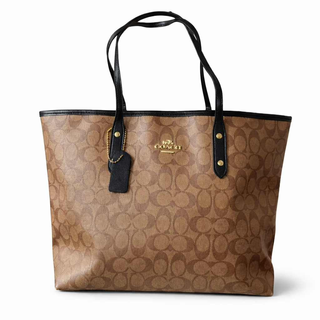 Astariva x coach bag