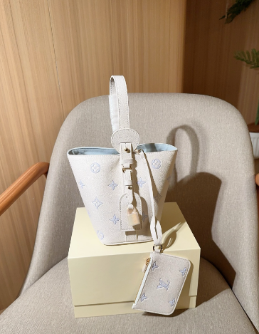 Astariva x Lv bag