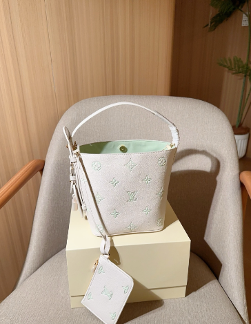 Astariva x Lv bag
